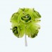 2.5" Diameter Rhinestone Ribbon Flower 6X12 | Apple